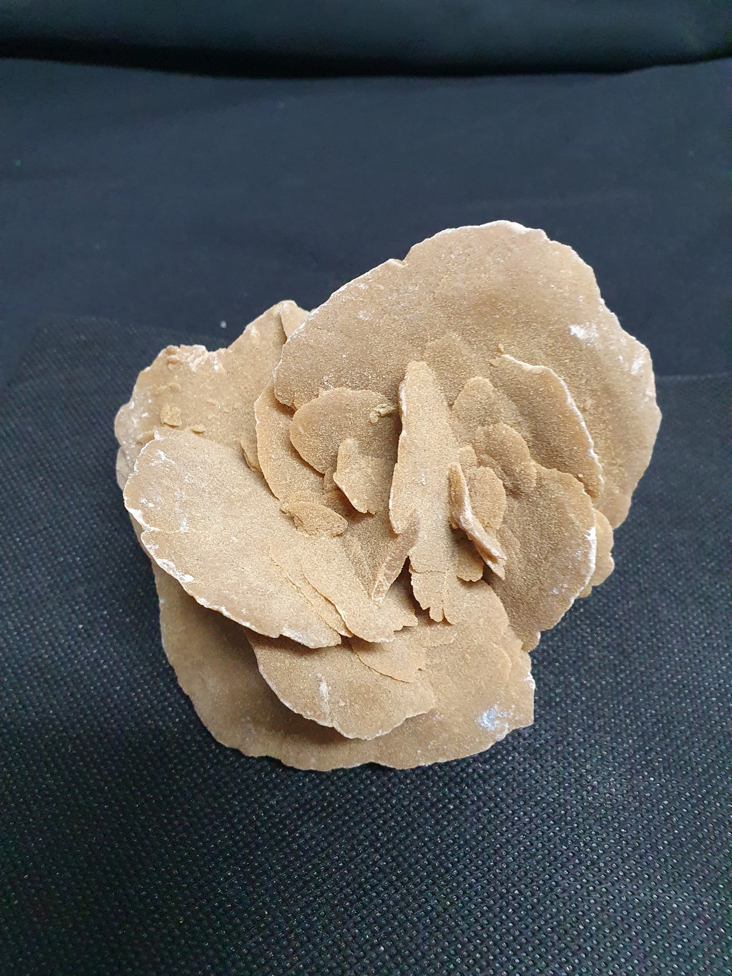 Pustinjska ruža, (250-500g)