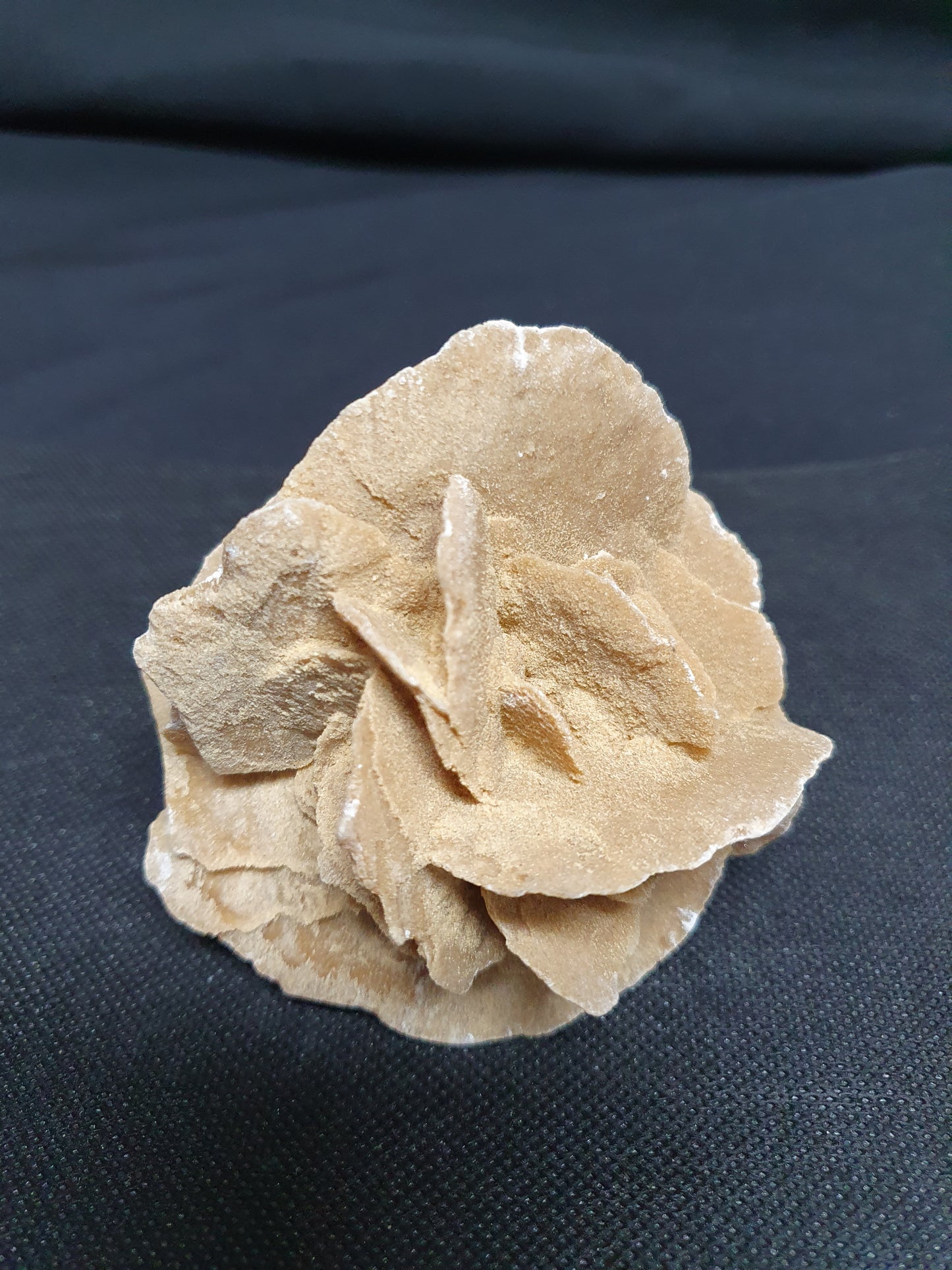 Pustinjska ruža, (250-500g)