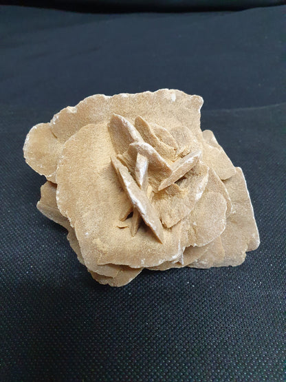 Pustinjska ruža, (250-500g)